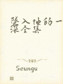 坠入他的一往情深全集封面