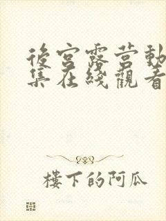 后宫露营动漫全集在线观看