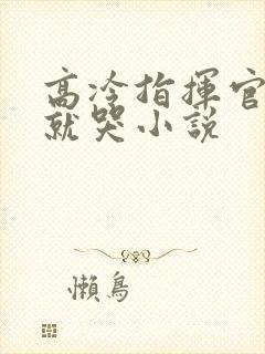 高冷指挥官一亲就哭小说