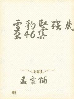 雪豹坚强岁月1至46集