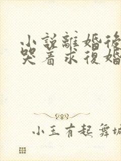 小说离婚后前夫哭着求复婚