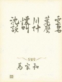 沈怀川叶云舒小说叫什么名字