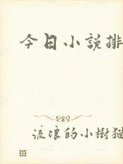 今日小说排行榜封面
