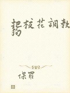 把校花调教成母狗