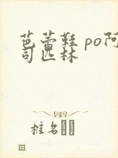 芭蕾鞋 po阿司匹林