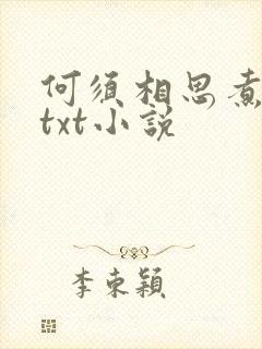 何须相思煮余年txt小说