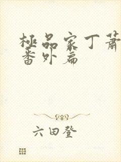 极品家丁萧夫人番外篇