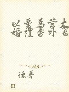 以爱为营大结局婚礼番外篇