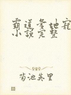 霸道爹地宠又撩小说完整封面