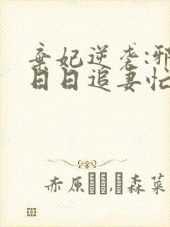 弃妃逆袭:邪王日日追妻忙正版