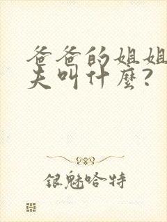 爸爸的姐姐的丈夫叫什么?封面