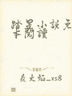 踏星小说免费全本阅读