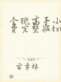 全职高手小说免费完整版txt下载