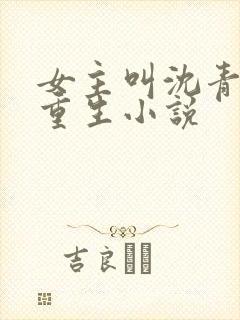 女主叫沈青鸾的重生小说