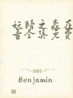 妖精之森在线观看全集免费播放动漫