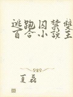 逃跑囚禁双女主百合小说主受