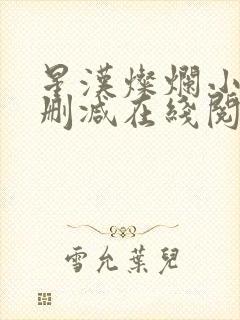 星汉灿烂小说无删减在线阅读