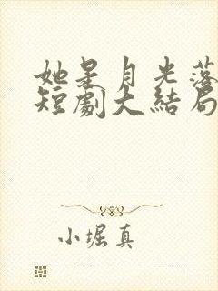 她是月光落我心短剧大结局