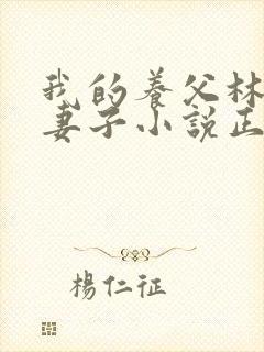 我的养父林叔和妻子小说正版阅读