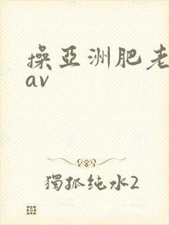 操亚洲肥老熟女av封面