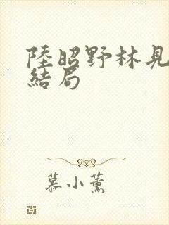 陆昭野林见疏大结局