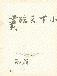 君临天下小说下载