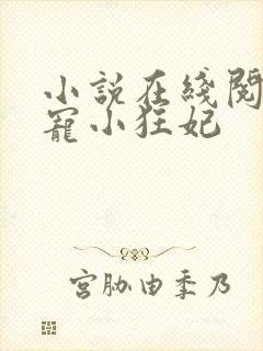 小说在线阅读绝宠小狂妃