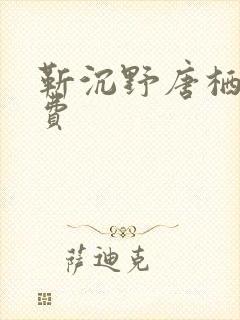 靳沉野唐栖雾免费