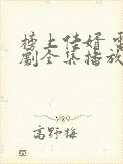 榜上佳婿 电视剧全集播放