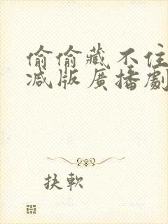 偷偷藏不住未删减版广播剧