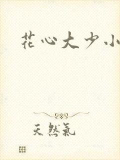 花心大少小说