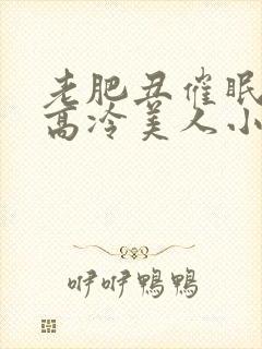 老肥丑催眠改造高冷美人小说封面