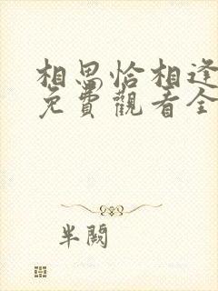 相思恰相逢短剧免费观看全集封面