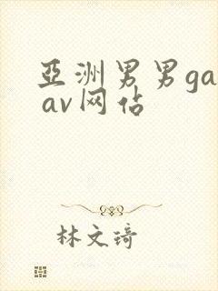 亚洲男男gay av网站