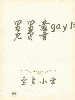 男男黄gay片免费看