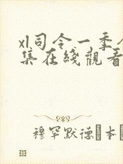 xl司令一季全集在线观看免费播放