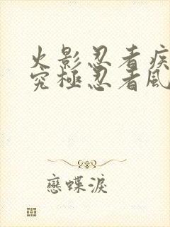 火影忍者疾风传究极忍者风暴4代充