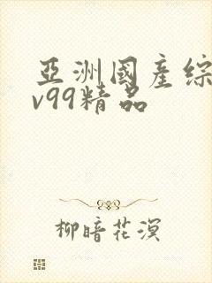 亚洲国产综合av99精品