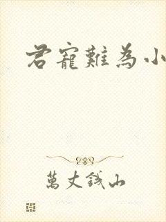 君宠难为小说封面