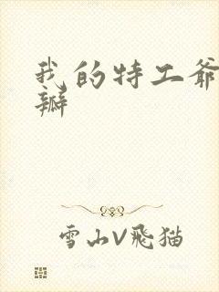 我的特工爷爷豆瓣