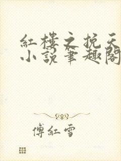 红楼之挽天倾 小说笔趣阁