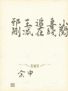 邪王追妻小说无删减在线阅读