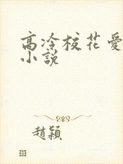 高冷校花爱上我小说