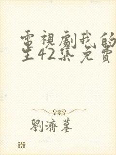 电视剧我的后半生42集免费播放器封面