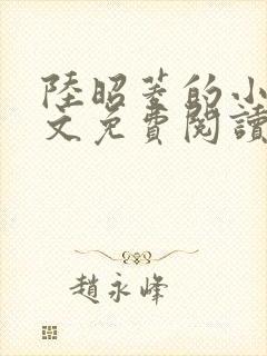 陆昭菱的小说全文免费阅读