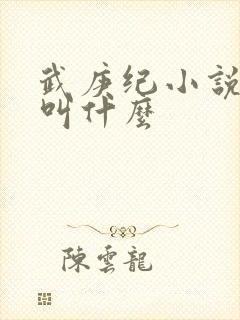 武庚纪小说原著叫什么封面