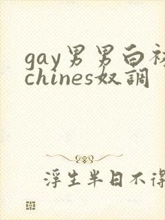 gay男男白袜chines奴调封面