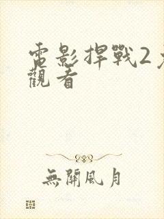 电影捍战2免费观看