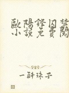 欧阳锋囚禁黄蓉小说免费阅读