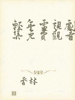 轻年电视剧40集免费观看